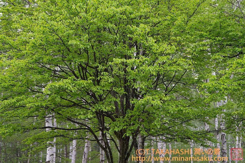 ../Images/7R250524 (254).jpg